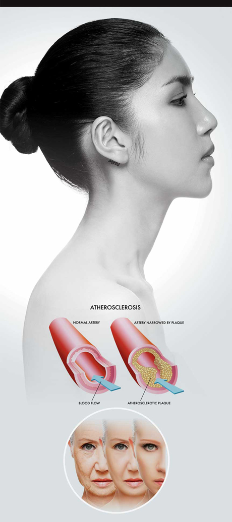 Anti-Aging Program Anti-Aging Program